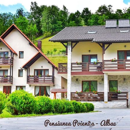Pensiunea Poienita Albac Exteriör bild