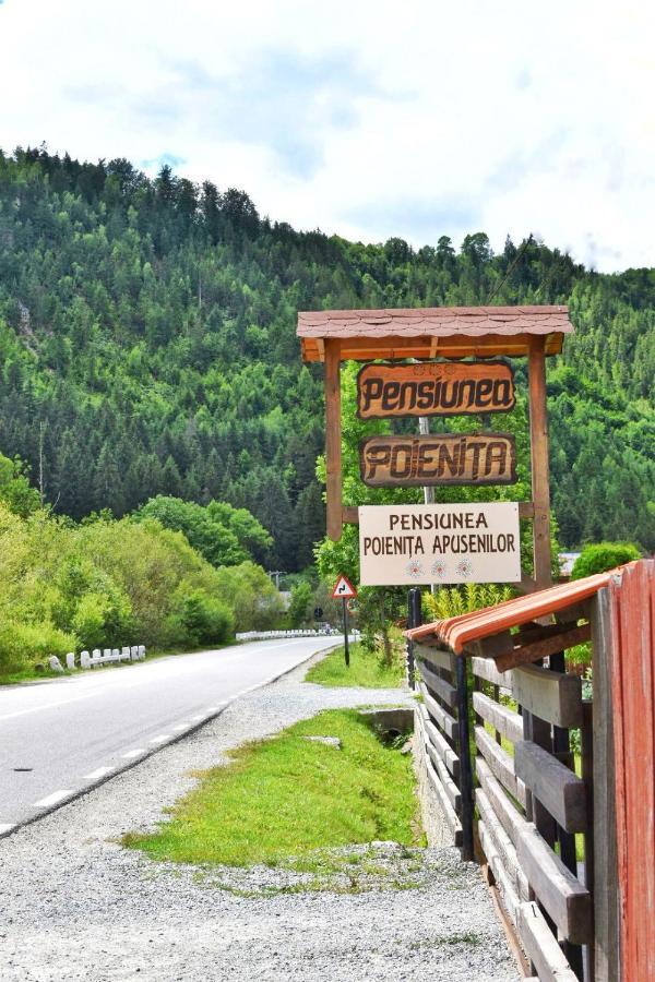 Pensiunea Poienita Albac Exteriör bild